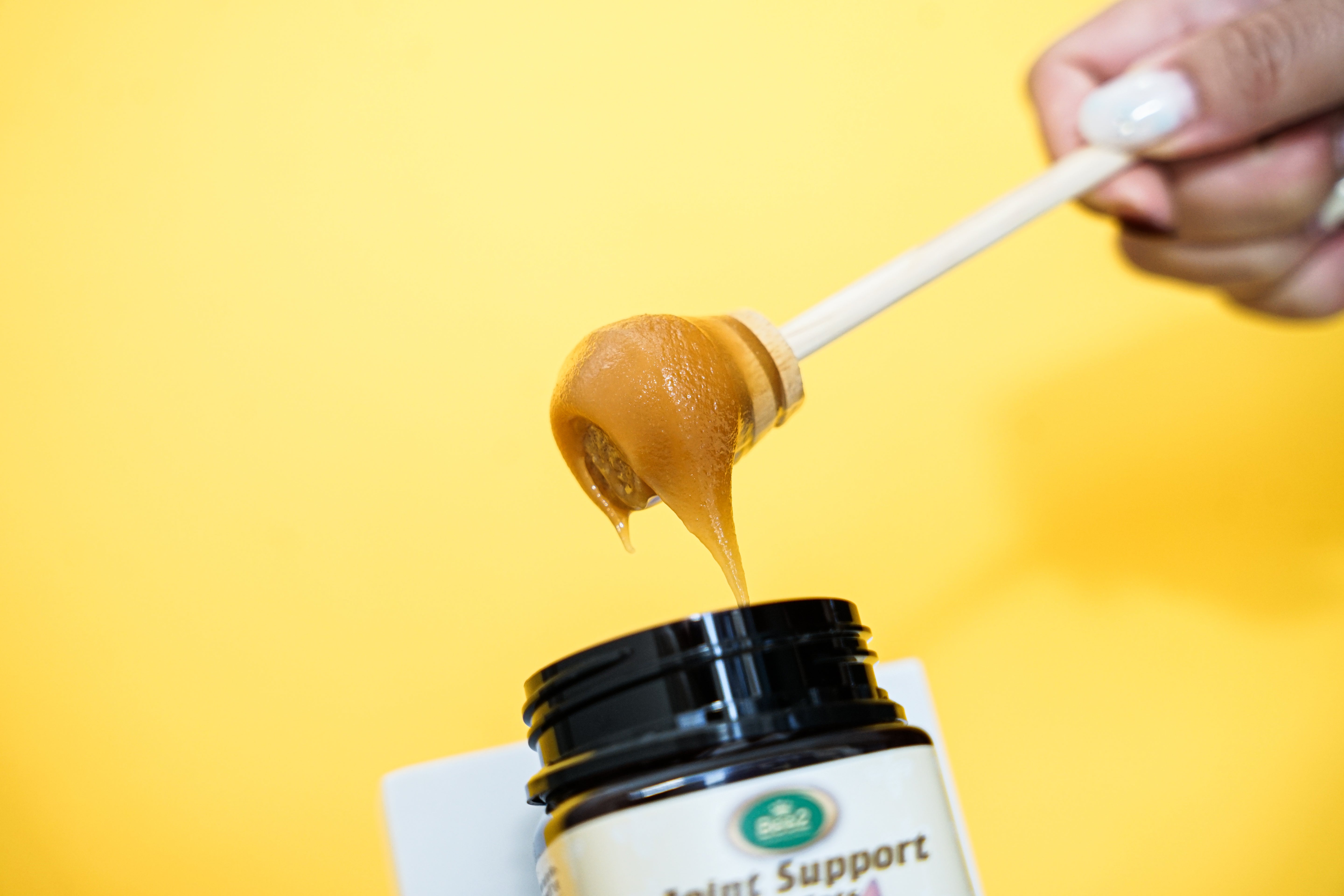 Manuka Honey For Cats