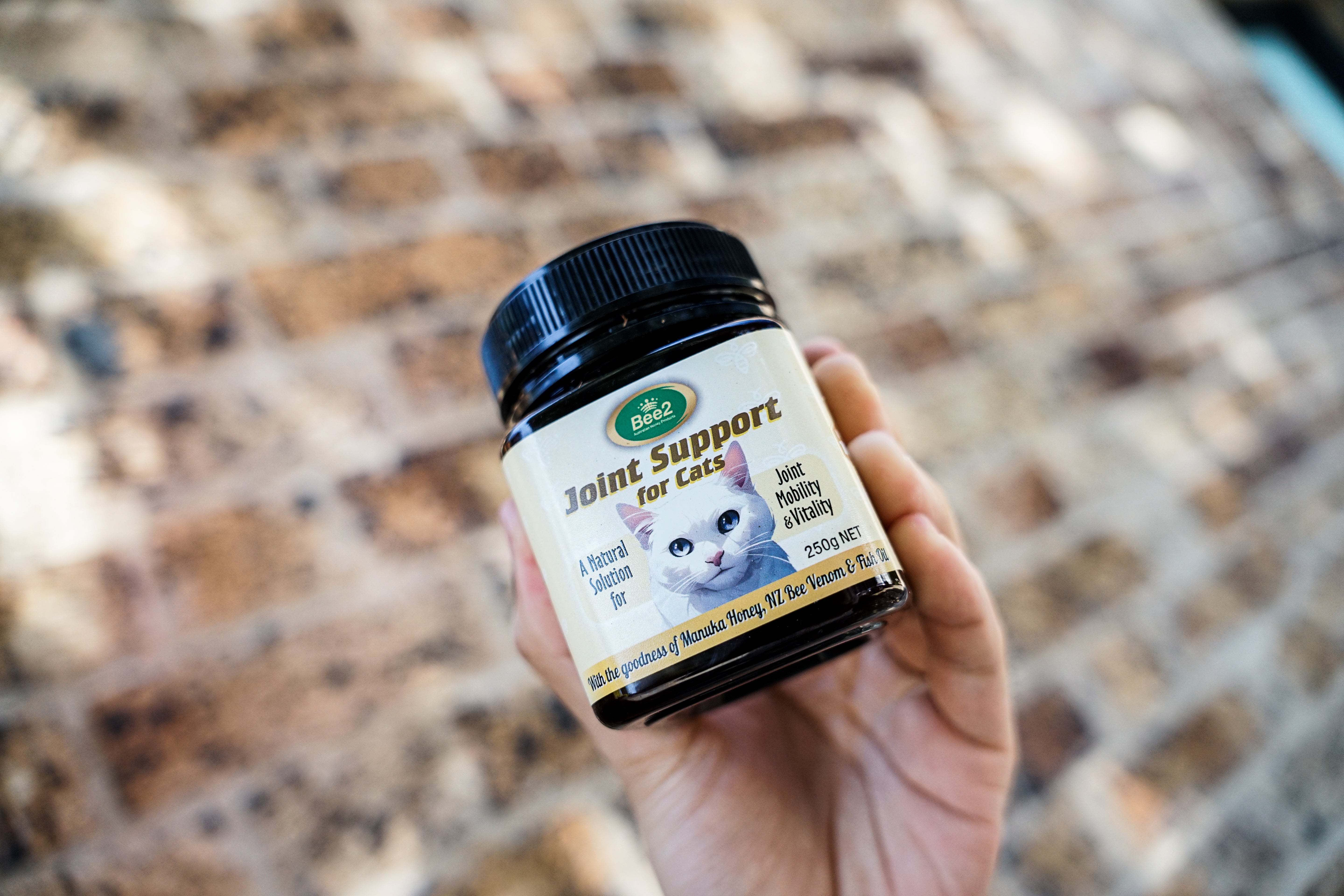 Manuka Honey For Cats